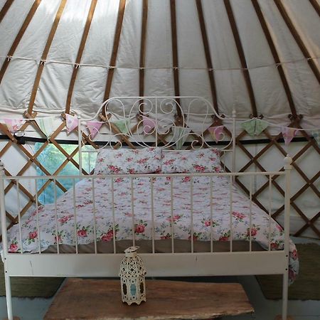 Mill Haven Place Glamping-Yurt 1 Talbenny Exterior foto