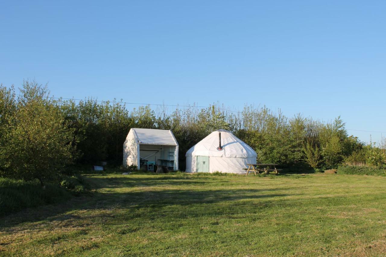 Mill Haven Place Glamping-Yurt 1 Talbenny Exterior foto